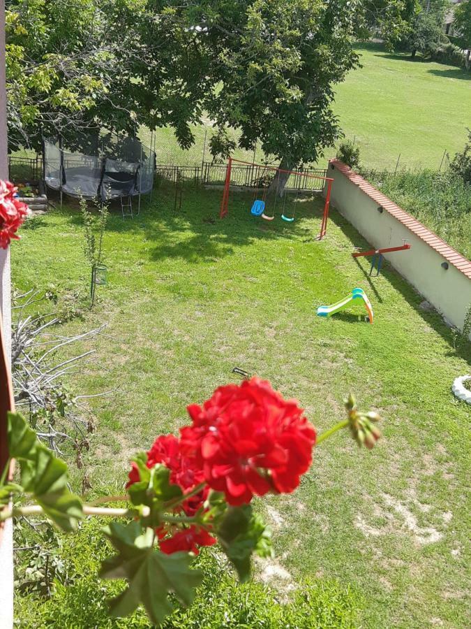 Apartments Ana Dojran Rom bilde